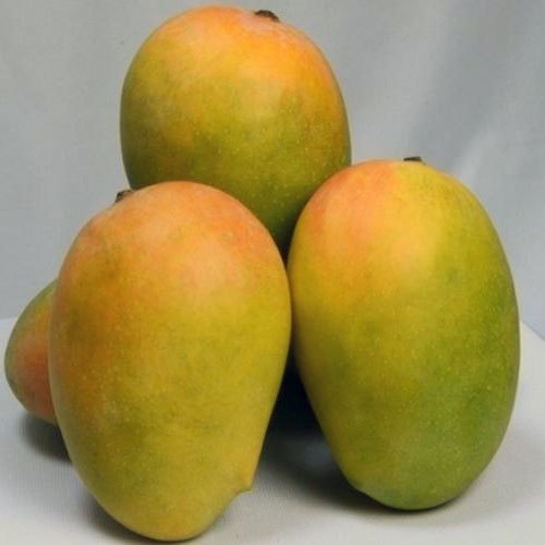 Fresh Organic Mangoes (Sweet & Juicy)