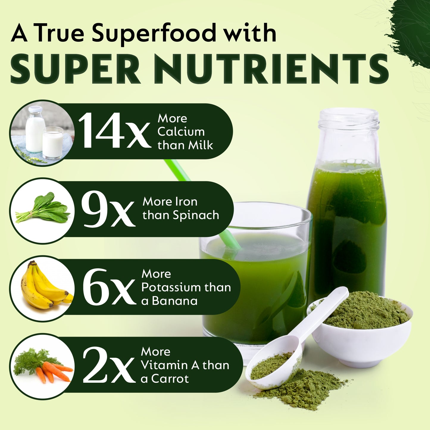 Moringa Powder – Superfood for Energy, Detox & Nutrient Support