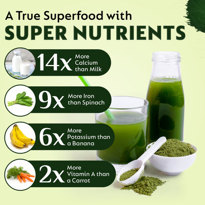 Moringa Powder – Superfood for Energy, Detox & Nutrient Support