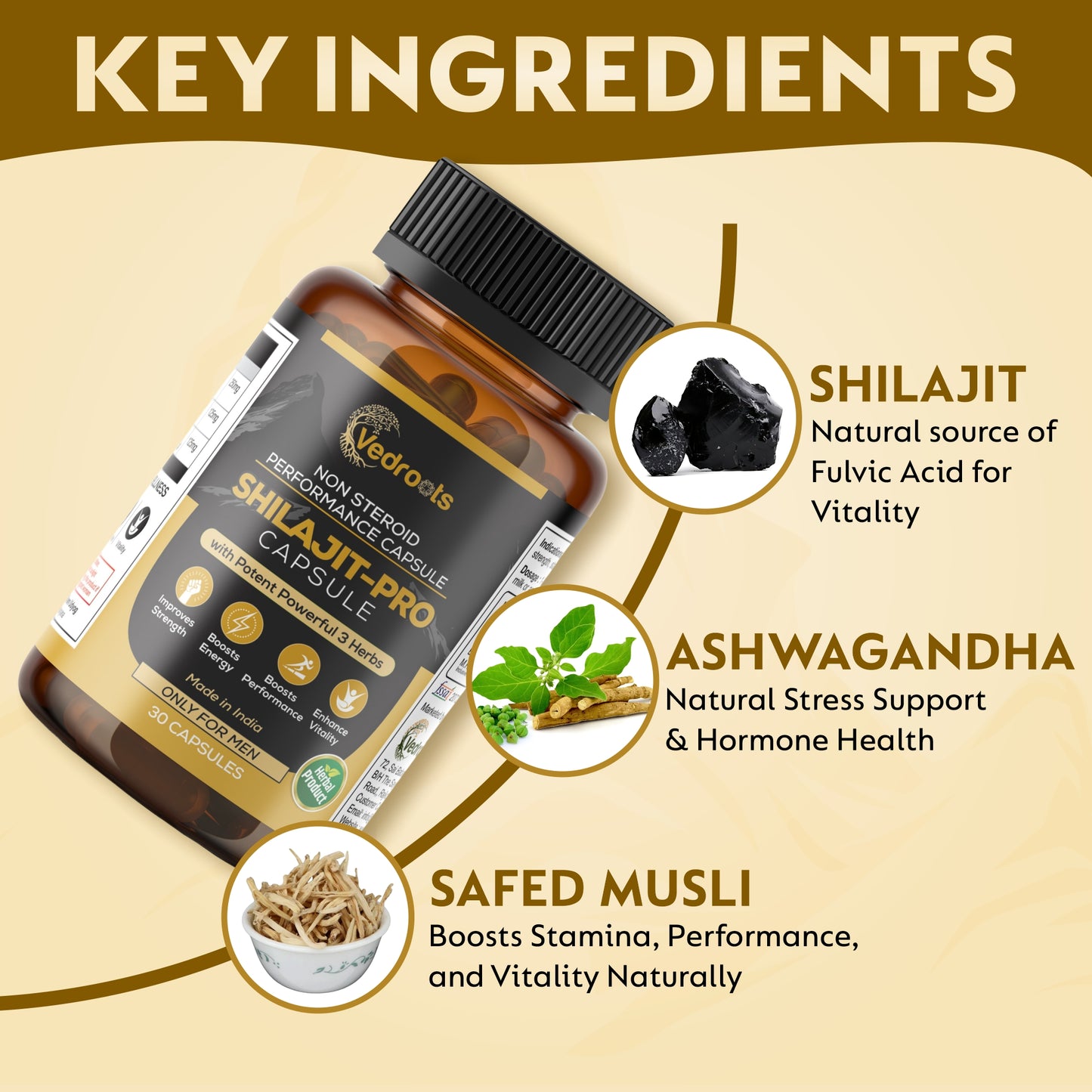 Shilajit Pro Capsule