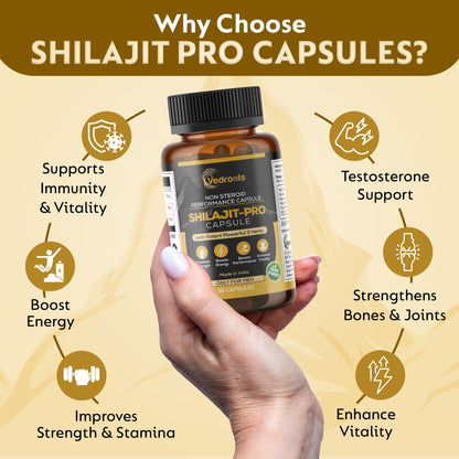 Shilajit Pro Capsule