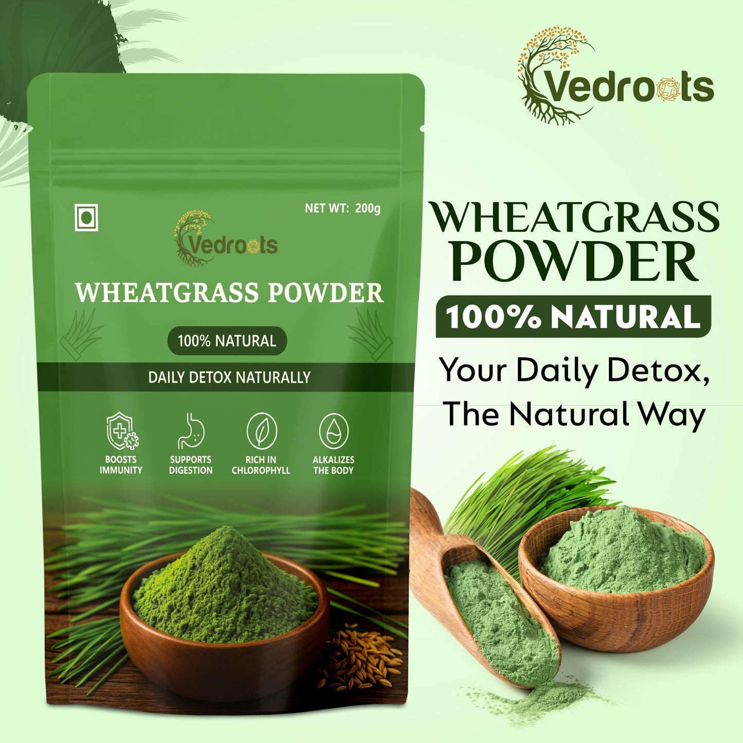 Wheatgrass Powder: The Green Fuel for Detox, Energy & Immunity