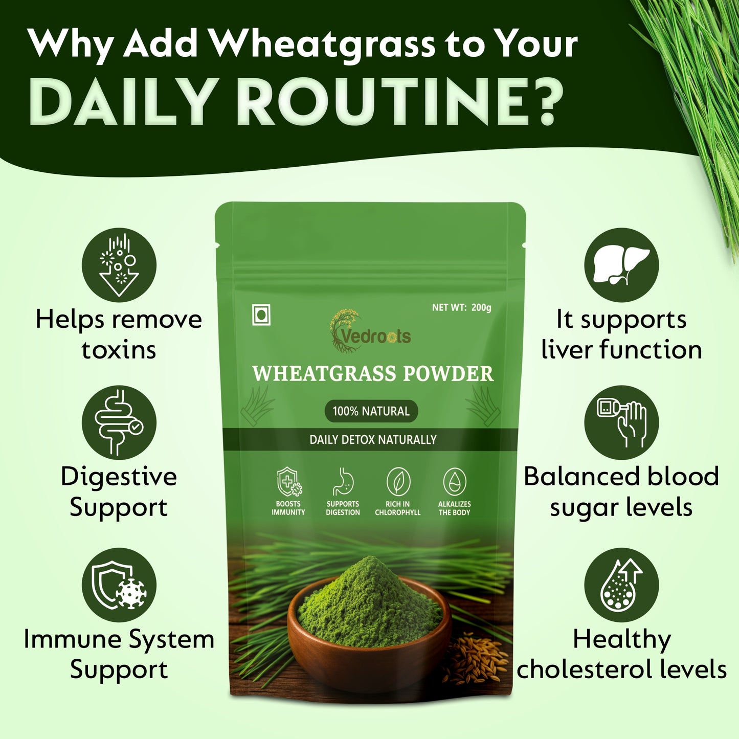 Wheatgrass Powder: The Green Fuel for Detox, Energy & Immunity