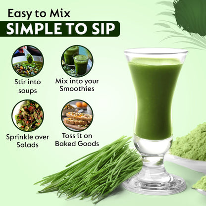 Wheatgrass Powder: The Green Fuel for Detox, Energy & Immunity